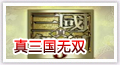 真三国无双